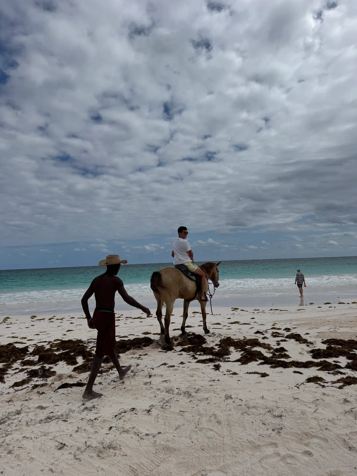 Horse riding on Pink Sands Beach