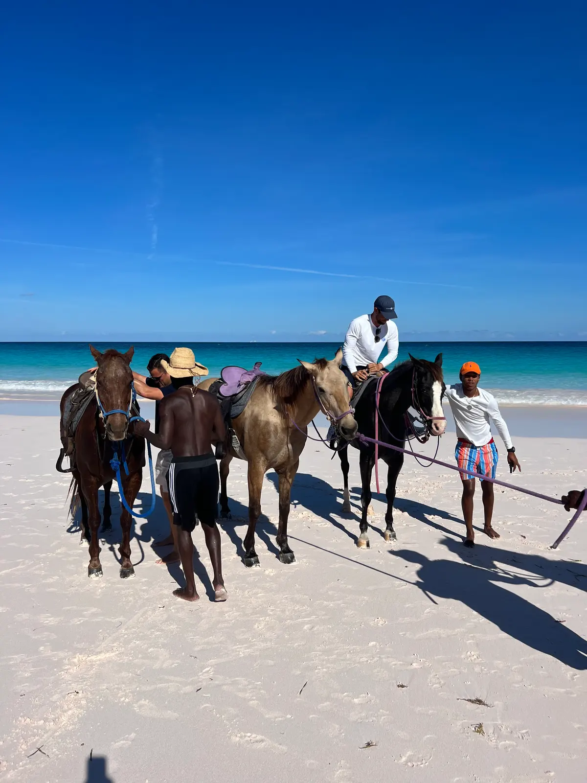 Saddling up on Pink Sands Beach