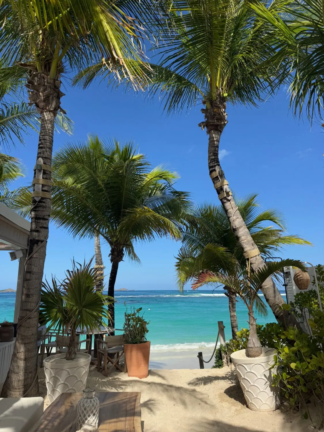 Palms over the sand at a St Barths beach club, the sea behind