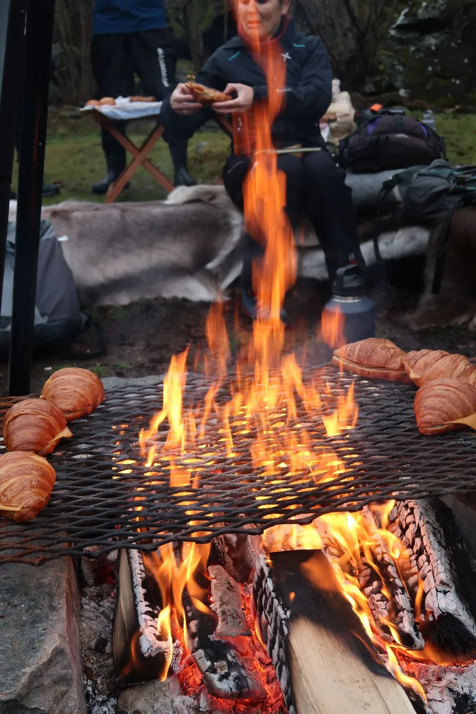 Cheese croissants toasting on a grill over the campfire, a guest on a reindeer skin behind